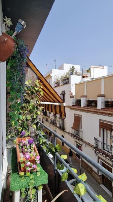 Luminoso Apartamento Centro Triana Apartment Sevilla Exterior foto